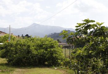 _MG_6091 _MG_6091