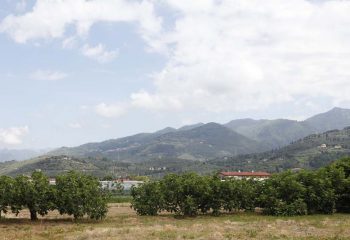 _MG_6098 _MG_6098