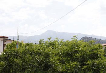 _MG_6099 _MG_6099
