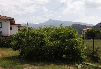 _MG_6104 _MG_6104