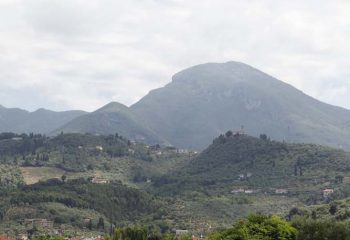 _MG_6118 _MG_6118