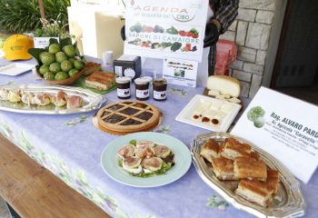 _MG_6275 _MG_6275